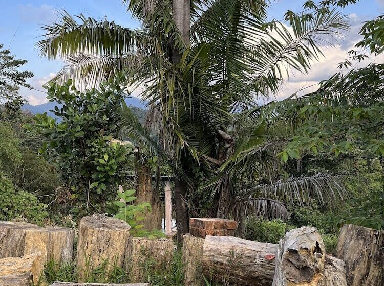 פנסיון Nana S Homestay