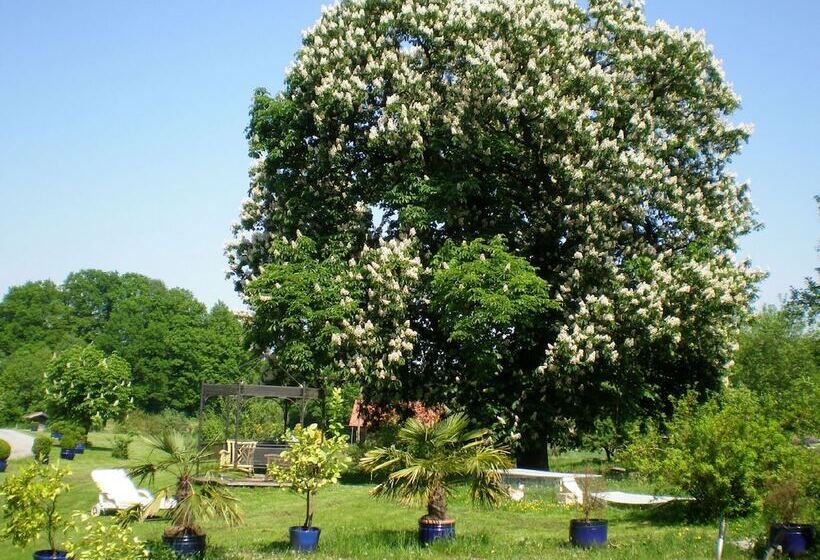 膳宿费 Wampendobler Paradies