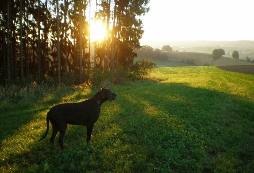 膳宿费 Wampendobler Paradies
