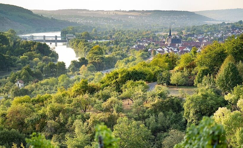 Пансион Weingut Martin Blass