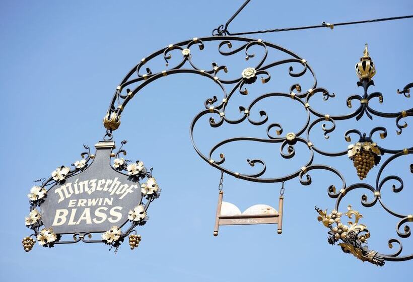 Пансион Weingut Martin Blass