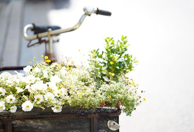 Пансион Weingut Martin Blass