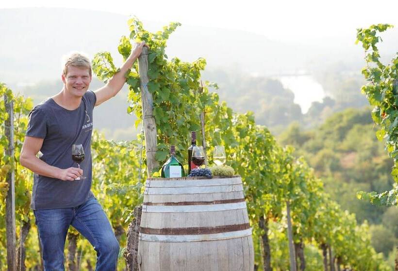 Пансион Weingut Martin Blass