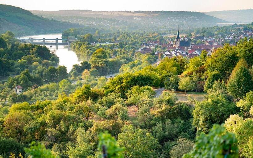 Пансион Weingut Martin Blass