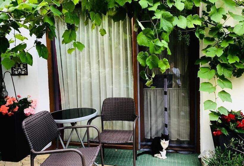 بنسيون Willa Christo Dom Z Duszą