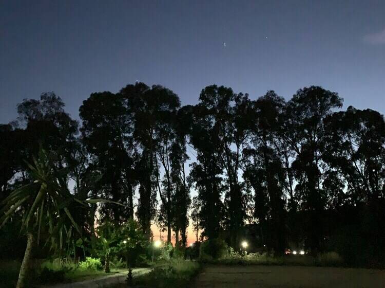 بنسيون Bhavana Gokova