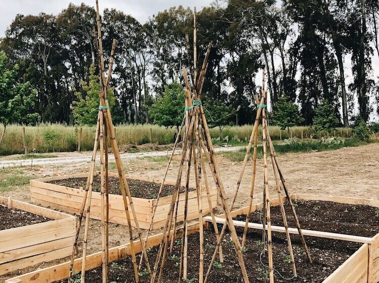 بنسيون Bhavana Gokova