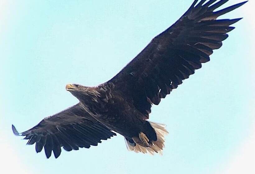 منتجع Sjøstrand Rorbuer V Børge Iversen As