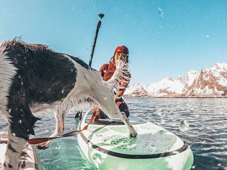 استراحتگاه Skårungen   Hotel, Cabins And Camping