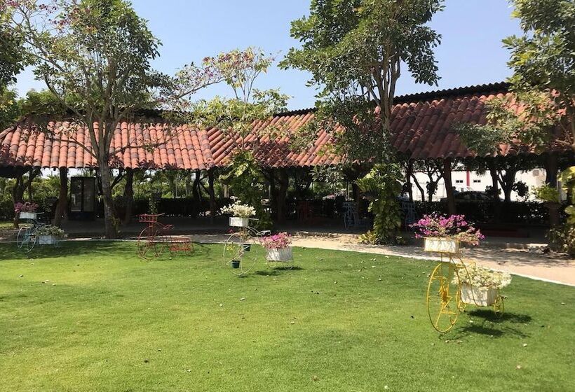 Shalom   Hostel