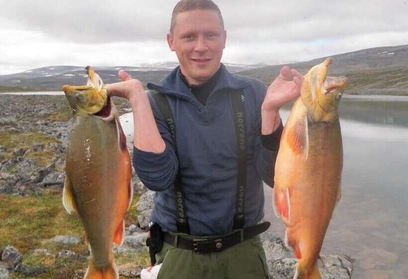 Stabbursdalen Resort