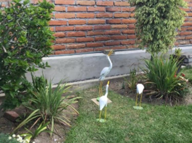 Tababela Airport B&b