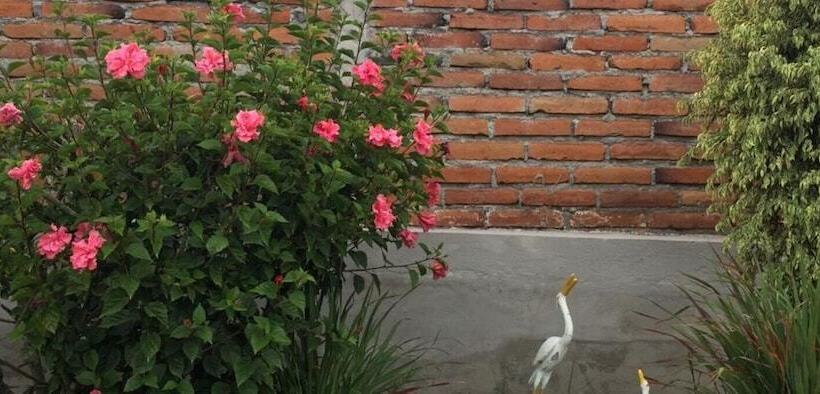 Tababela Airport B&b