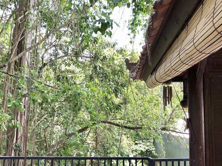 The Jungle Hostel Canggu