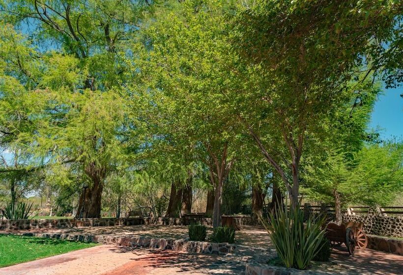 Uraján De Luna Hotel Boutique & Spa