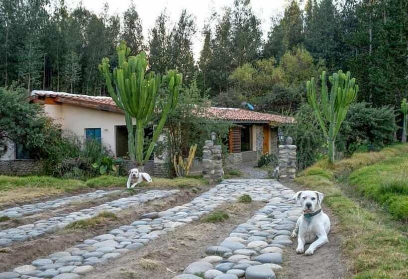 Yakumama Hostel Y Restaurant