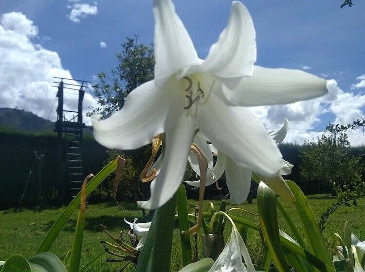 Yakumama Hostel Y Restaurant