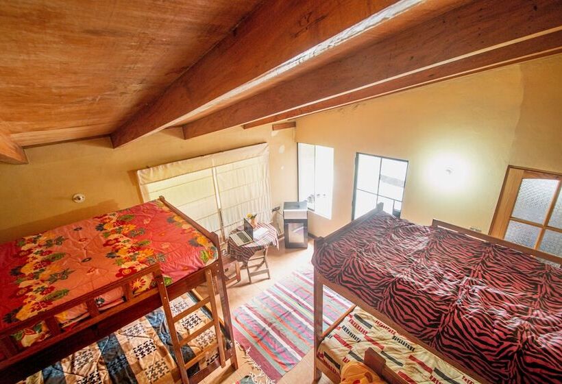 Yakumama Hostel Y Restaurant