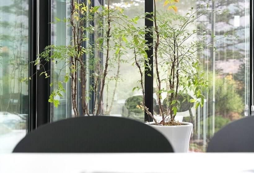 Gapyeong Aileen Pension