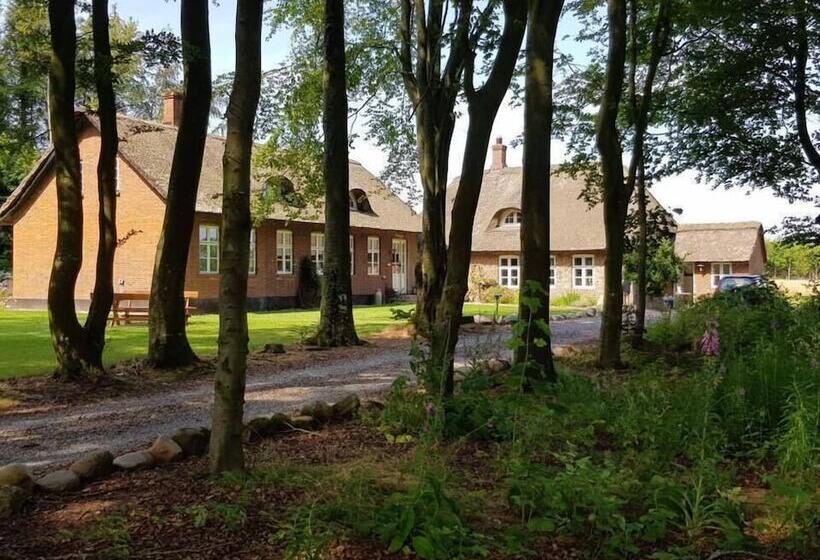 住宿加早餐  Agerfeld Gl. Skole