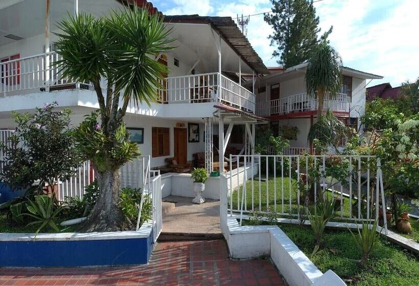 ベッドアンドブレックファースト Eco Hotel Villa Diana