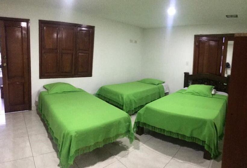 ベッドアンドブレックファースト Eco Hotel Villa Diana