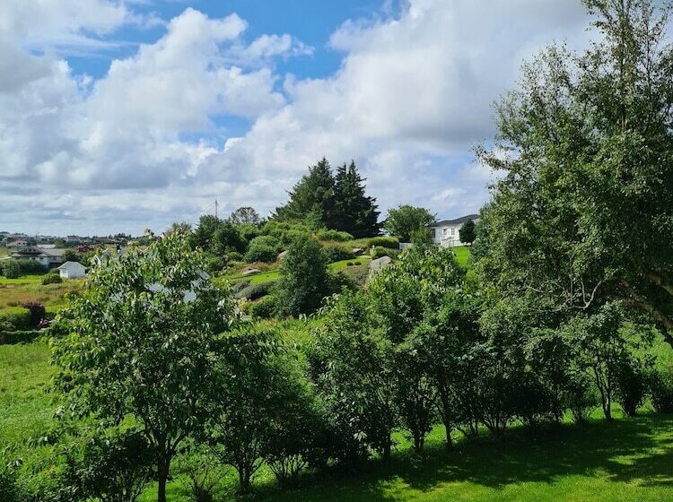 تختخواب و صبحانه Dugneberg