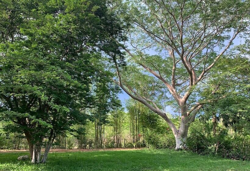 צימר El Encanto Hotel Boutique & Spa