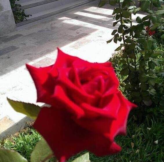 تختخواب و صبحانه Hospedaje 1249