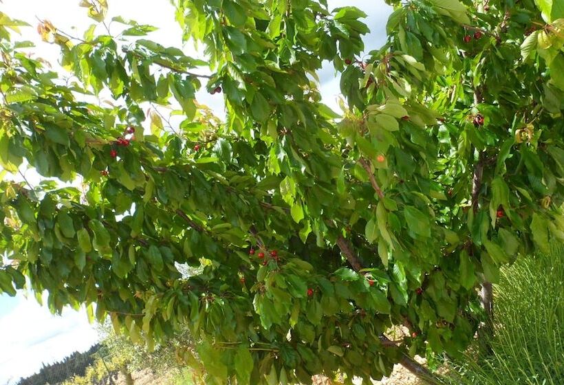 ベッドアンドブレックファースト La Maison De Marie