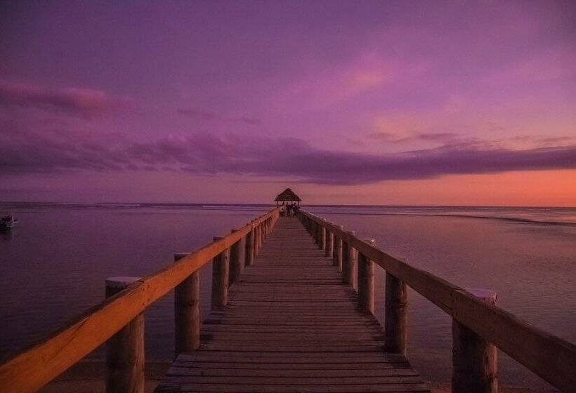 Bed and Breakfast Moksha Retreat