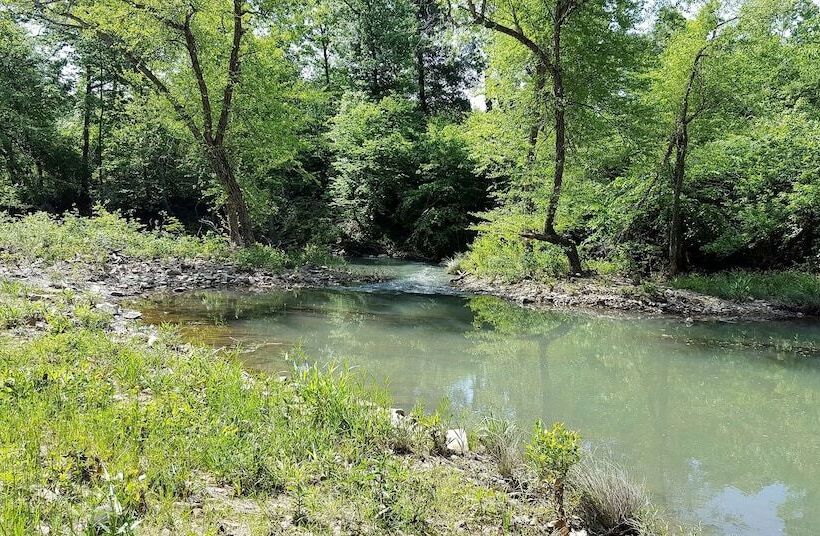 Cimarron Secluded Cabin With Fire Pit And Free Firewood By Redawning