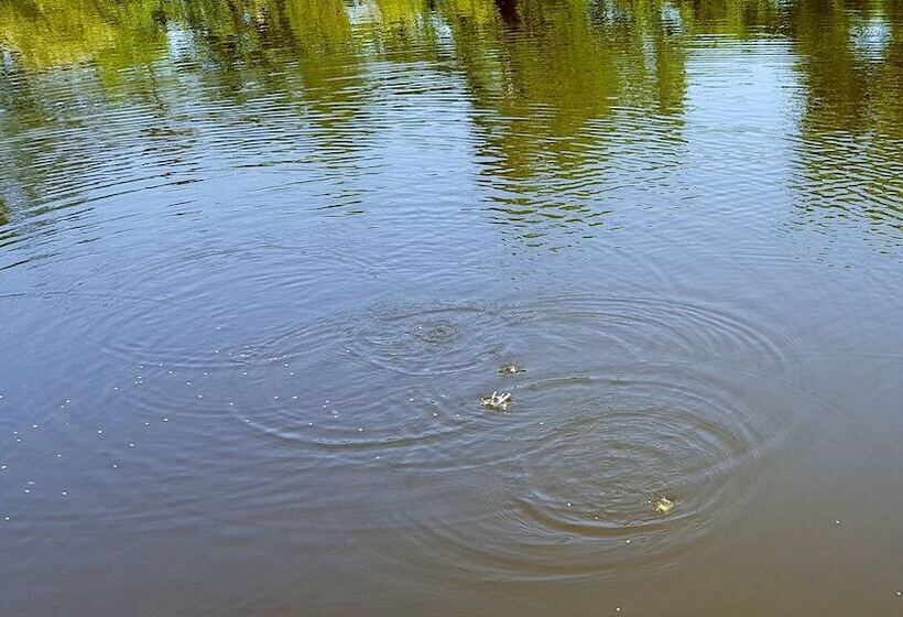 Cimarron Secluded Cabin With Fire Pit And Free Firewood By Redawning