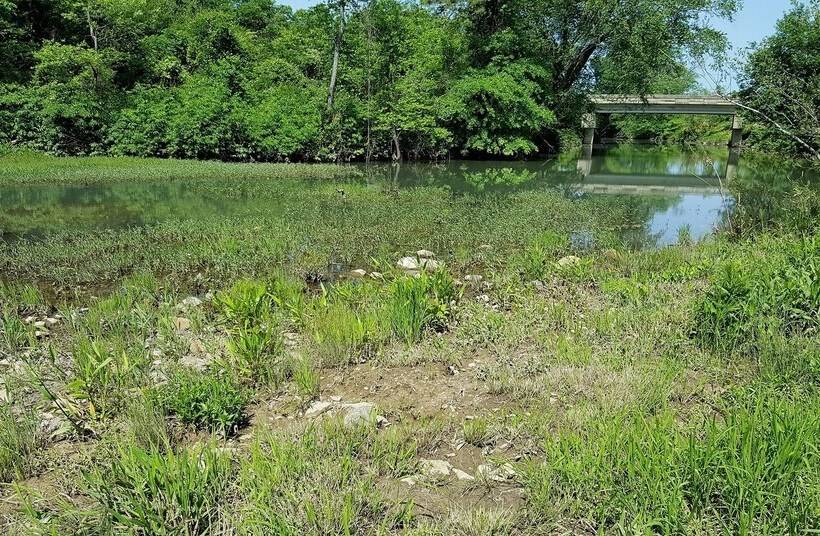 Cimarron Secluded Cabin With Fire Pit And Free Firewood By Redawning