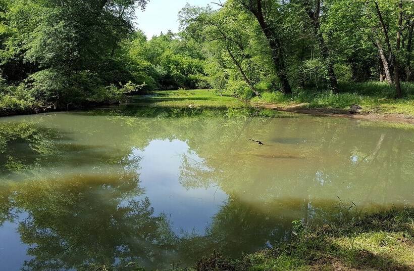 Cimarron Secluded Cabin With Fire Pit And Free Firewood By Redawning