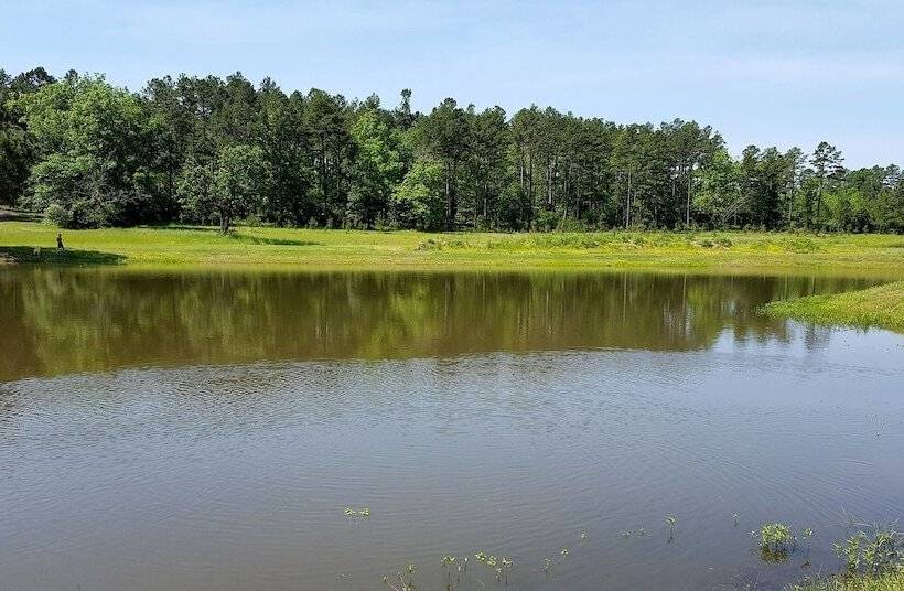 Cimarron Secluded Cabin With Fire Pit And Free Firewood By Redawning