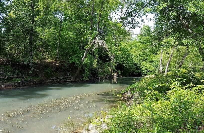 Cimarron Secluded Cabin With Fire Pit And Free Firewood By Redawning