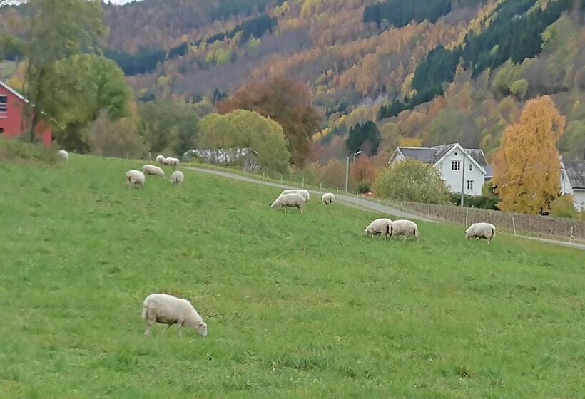 Eidsdal Camping Og Feriehus