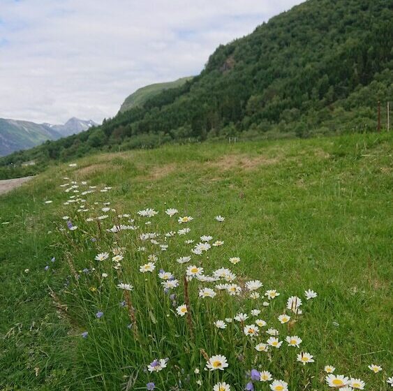 Eidsdal Camping Og Feriehus