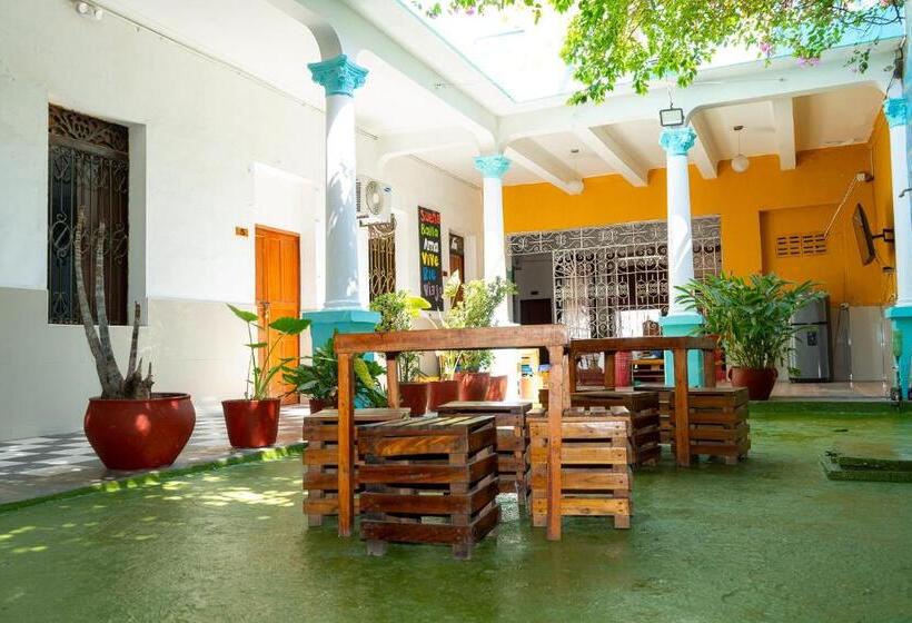 هاستل Maranatha Hostal