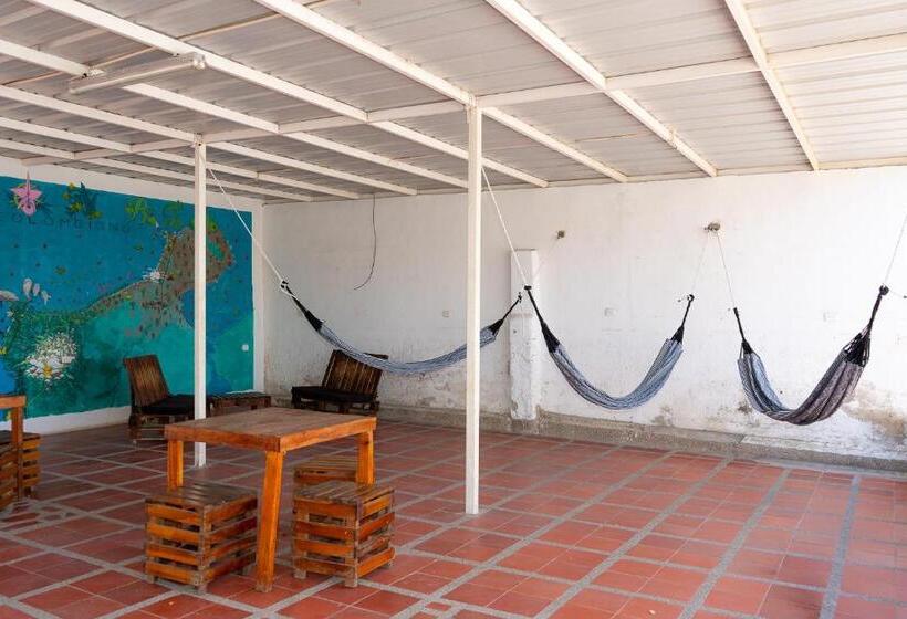 هاستل Maranatha Hostal