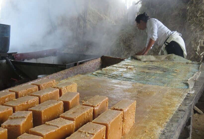 בית מלון כפרי Bordones