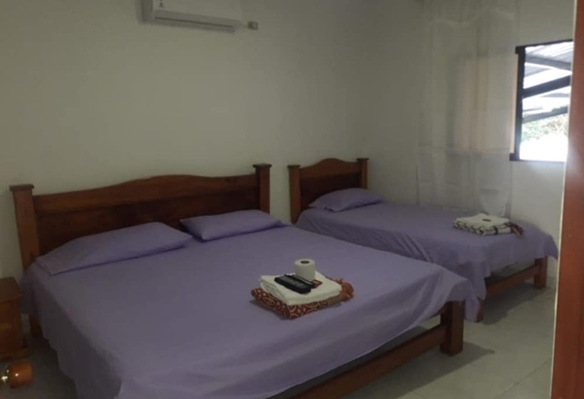 Отель Casino Royal Caribe