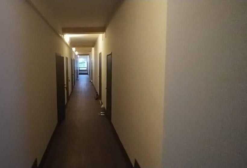 酒店 Cedar Grass Teriberka