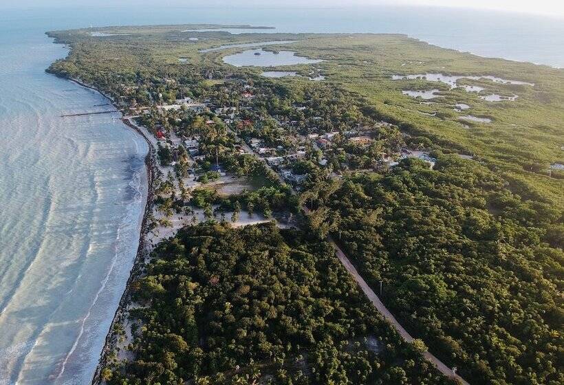 فندق Cielo Y Selva