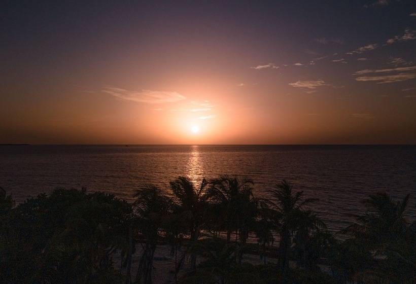 فندق Cielo Y Selva