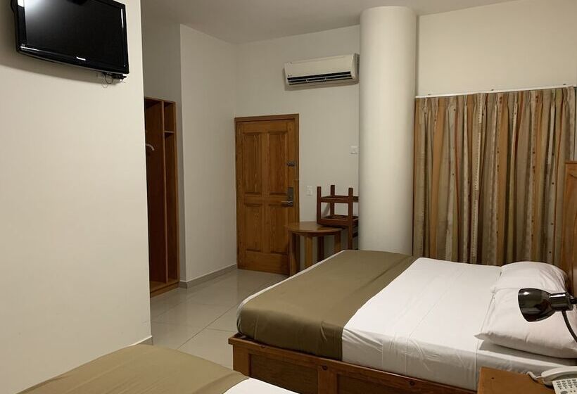 酒店 Del Angel Centro