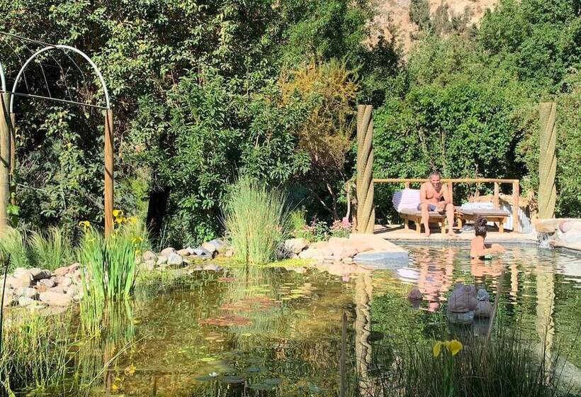 酒店 El Paraíso Lodge Alcohuaz