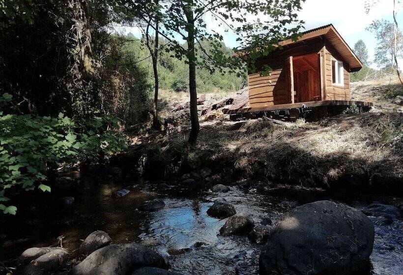 ホテル Entre Pampa Y Bosque