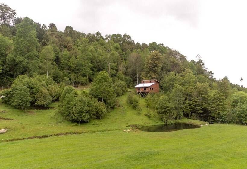 ホテル Entre Pampa Y Bosque